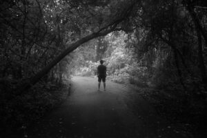 The Highly Sensitive Person – Elaine N. Aron